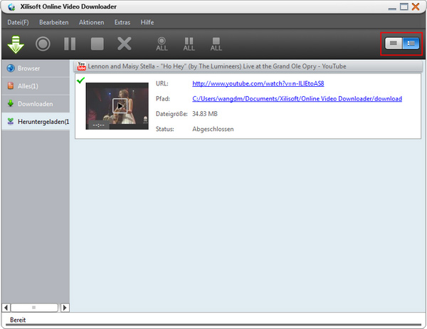 Online Video Downloaden Anleitung