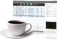 MPEG to 3GP video converter