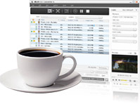 FLV in MPEG converter